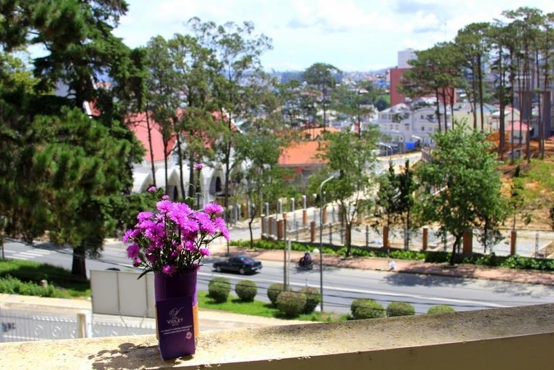 Thong Do Da Lat Hotel Room photo